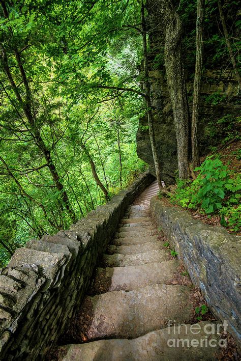 Stone Stairway Clifty Falls Overlook Indiana Photograph By Gary