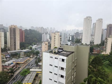 SP tem mais de 100 registros de queda de árvore chegada da chuva