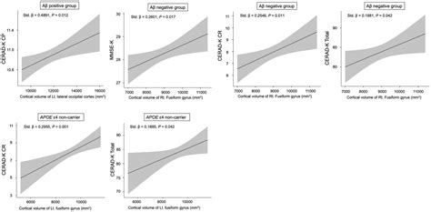 Frontiers Modulation Of Associations Between Education Years And