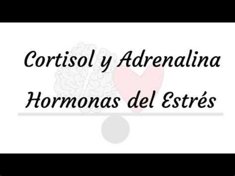 Que S El Cortisol Y La Adrenalina Hormonas Del Estr S Nutrici N