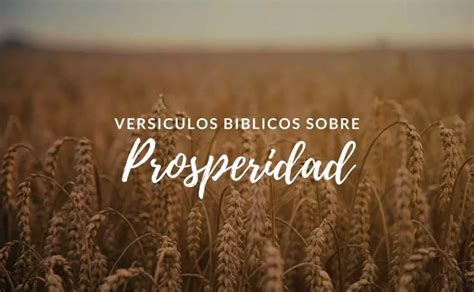 27 Versículos de la Biblia sobre la Prosperidad y Abundancia