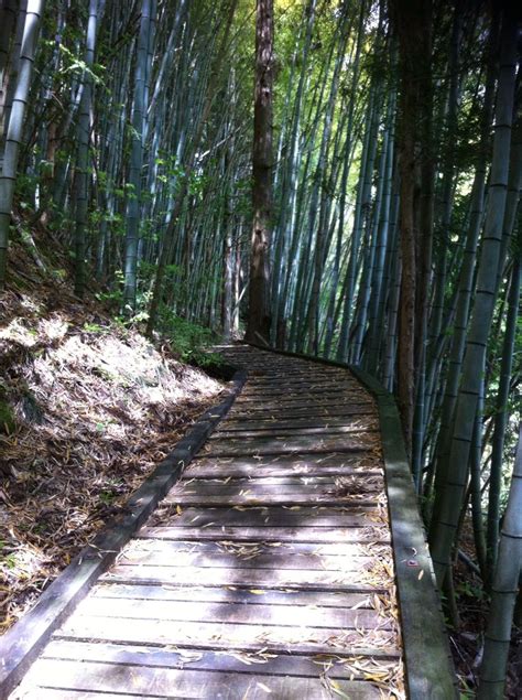 Nakasendo Trail, Japan. Tsumago to Nojiri | Japanese travel, Travel fun ...