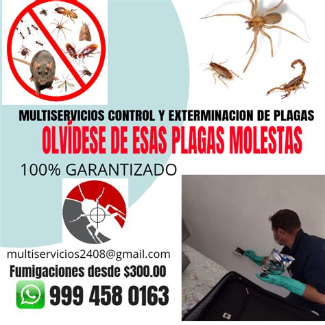 Multiservicios Control Y Exterminacion De Plagas P Gina Web De