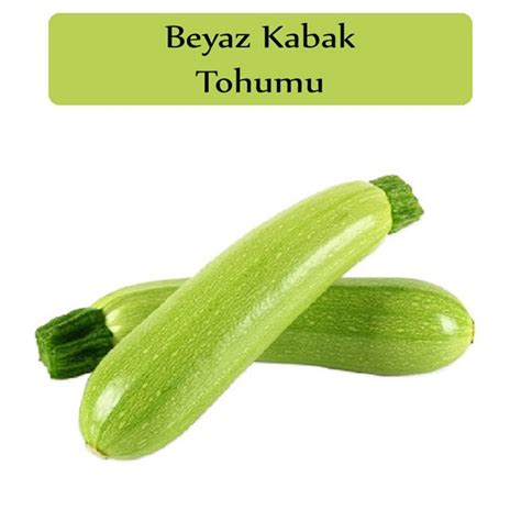 Beyaz Kabak Tohumu 1 Paket 10Gr 100 Adet Sakız Kabak Tohumu