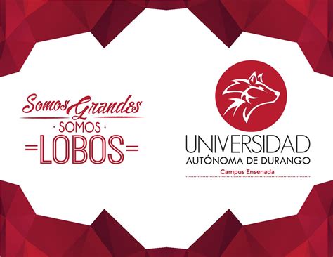 Introducir 65 Imagen Somos Lobos Uad Abzlocal Mx