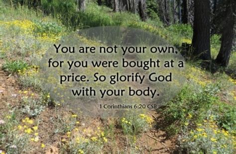 Honor God With Your Body - 1 Corinthians 6:19-20 - A Clay Jar