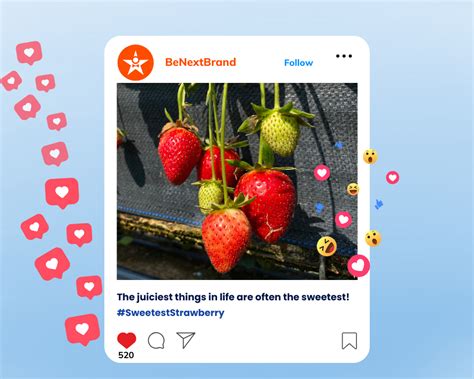 Strawberry Captions For Instagram Generator Guide Brandboy