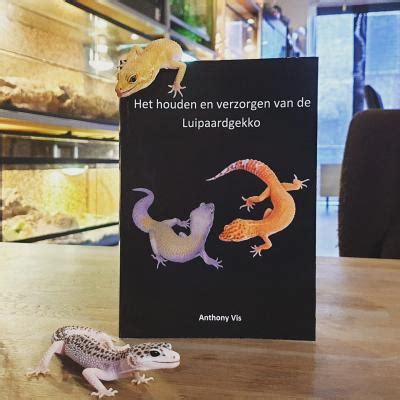 Het Houden En Verzorgen Van De Luipaardgekko