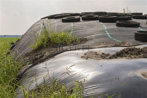 奶牛场的青贮高清摄影大图 千库网