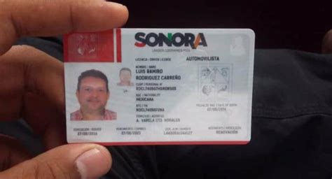 Se Puede Tramitar La Licencia De Conducir Permanente En Sonora Esto