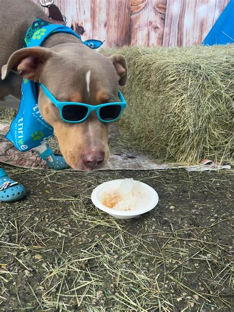 New Braunfels Funeral Homes: Local care and service options 20