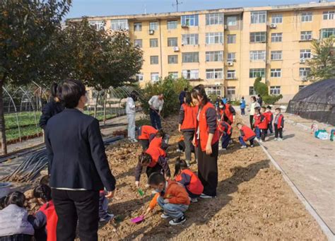 【文明宝鸡咱的家】宝鸡：学生户外干农活 深耕厚植“劳动”理念