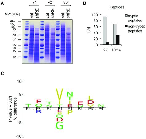 Mapping Of Protease Cleavage Sites By Mass Spectrometry A Whole Cell