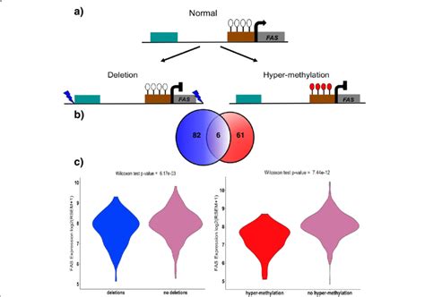 Effect Of Genetic And Epigenetic Alterations On Gene Expression A