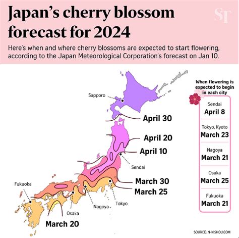 Sakura Forecast Where To Watch Cherry Blossoms In Japan