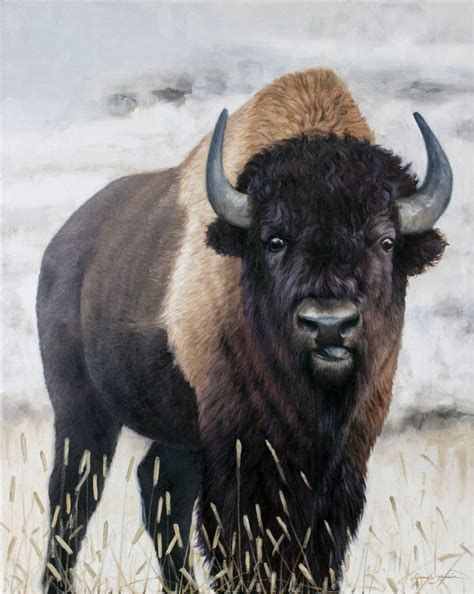 North American Wildlife Paintings (more subjects available) - Gold Mountain Gallery