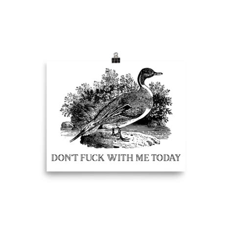 All Prints EFFIN BIRDS Bird Poster Effin All Print Birds Posters