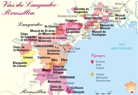 La Région Vitivinicole Le Languedoc Roussillon Emilie Ancienne