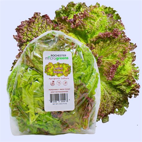 Lollo Rosso Lettuce Rochester NY | Rochester Microgreens