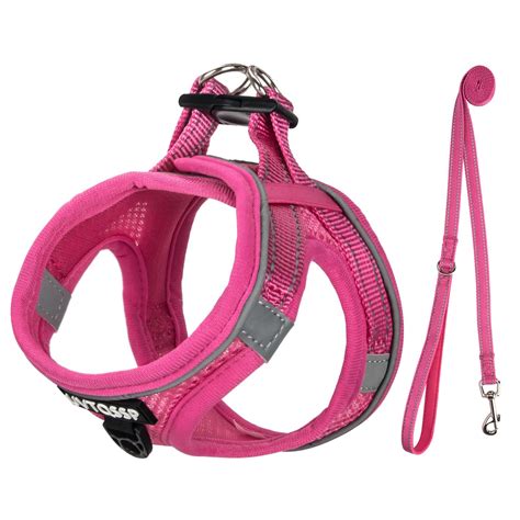 Buy Rose Padded Dog Harness for Small Dogs | Comfortable XS Puppy
