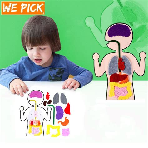 Human Body Parts For Kids Diy Felt Craft Puzzles Niños Early Learning