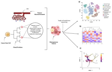 Cancers Free Full Text Single Cell Dna Methylation Analysis In Cancer