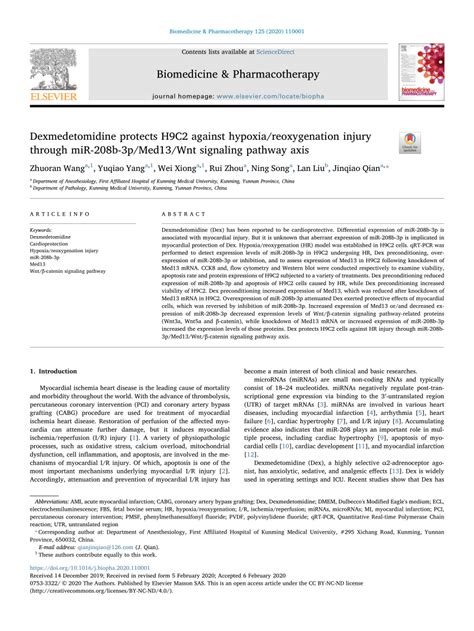 PDF Dexmedetomidine Protects H9C2 Against Hypoxia Reoxygenation