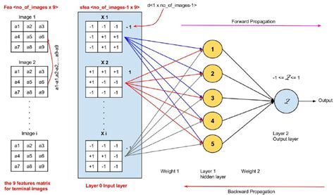 Mlp Neural Network Classifier Download Scientific Diagram