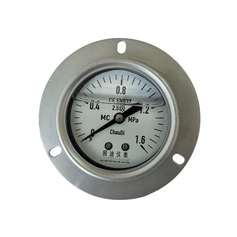 Stainless Steel Diaphragm Bourdon Tube Pressure Gauge 0 100MPa Ethylene