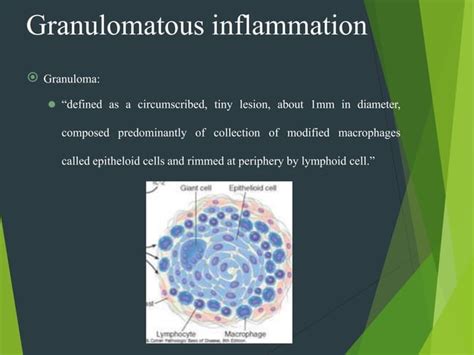 Woundhealingandinflammation 181226163636 1pptx