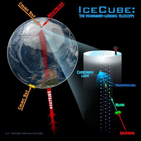 Chasing Neutrinos At The South Pole The Why Files Primary Science