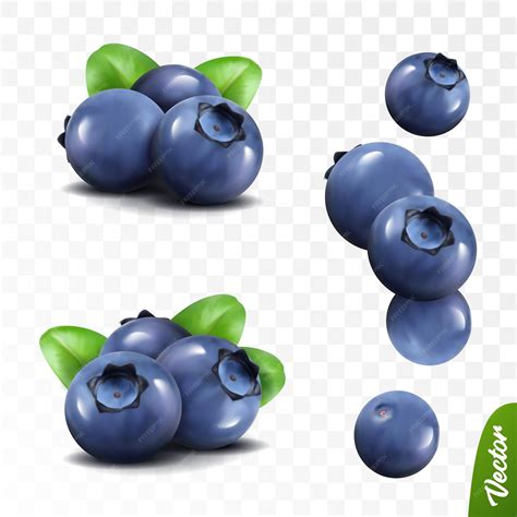 Premium Vector | 3d realistic blueberry set lying heaps of berries with
