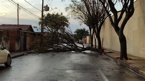 Em Aproximadamente 1h Chuva Causa Estragos Em Araraquara Veja Fotos