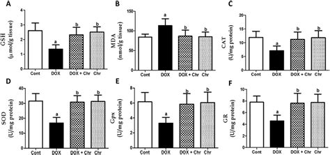 Effect Of Chrysin On Oxidative Stress Markers And Antioxidant Enzymes