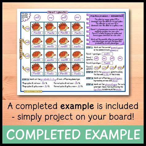 Dihybrid Cross Examples