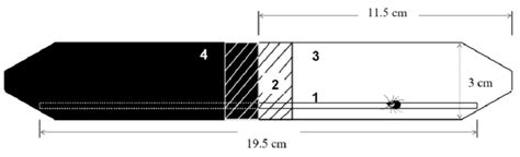 Lightdark Test 1 Wooden Stick 2 Rubber Ring 3 Transparent Tube