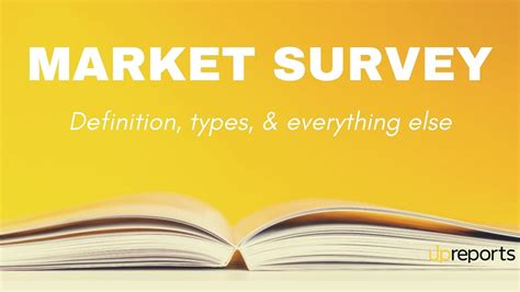 Market Survey Definition Objectives Types And Process