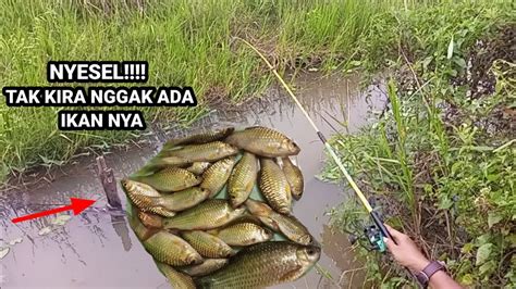 YA TUHAN ANTARA SUKA DAN KECEWA MANCING IKAN PALAU NILEM DI