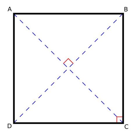 File:Square diagonals.svg - Wikipedia | Square, Geometric shapes, Geometric