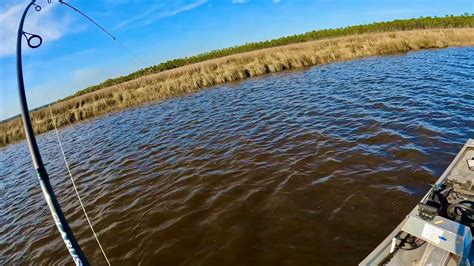 Spinnerbait Saves The Day Redfish Limit Fast Youtube