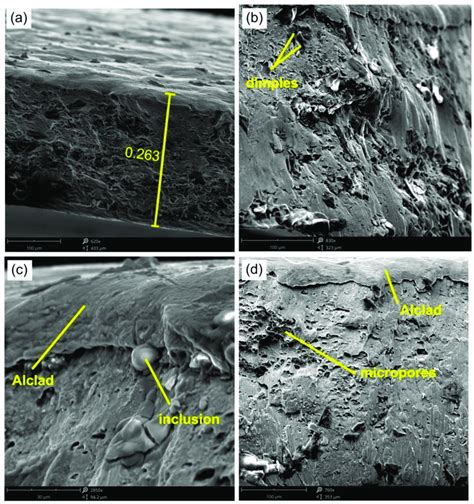 Sem Micrographs Of The Fracture Surface Of A Panel Made Of 05 Mm Thick