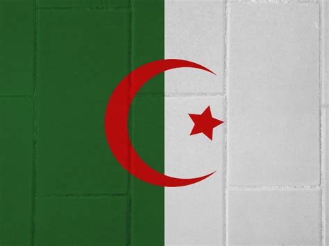 Premium Photo Algerian Flag