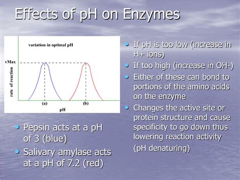 PPT Chemistry Of Life Topic 3 6 Enzymes PowerPoint Presentation