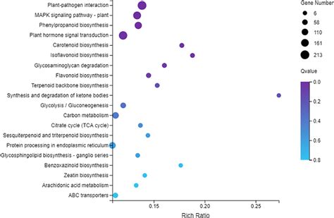 Frontiers Identification Of Candidate Genes Controlling Soybean Cyst