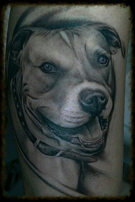 Tattoo Perro Amstaff Mas Que Arte Valladolid Fernando Martin Tatuajes