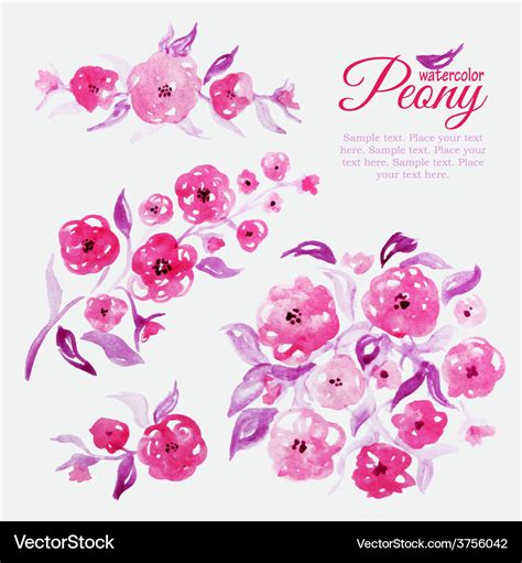 Set Of Watercolor Floral Elements For Design Vector Image