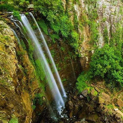 Queen Mary Falls | Australian travel, Travel spot, Queen mary