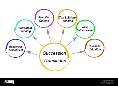 Cinco Componentes De Transiciones De Sucesi N Fotograf A De Stock Alamy