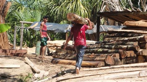 Más De 3 Millones De Peruanos Habrían Sido Víctimas De Trabajo Forzoso