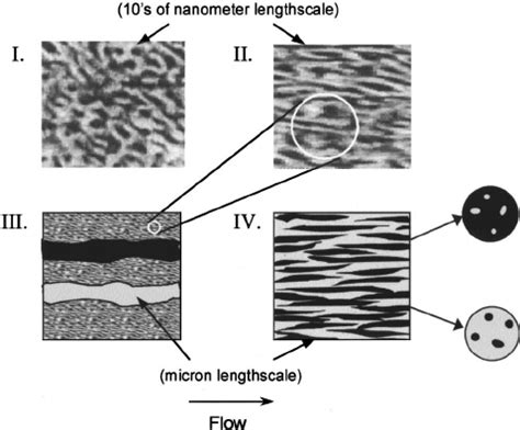 Schematic Representation Of The Morphology In The Four Regimes I